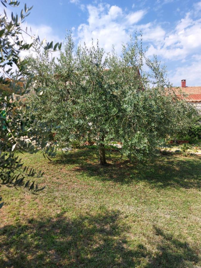 Apartments Marija Umag Zewnętrze zdjęcie